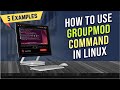 How to Use “groupmod” Command in Linux [5 Practical Examples] | LinuxSimply