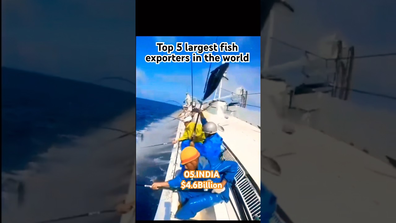 Largest fish exporters🐠🎣