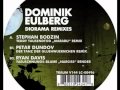 Video thumbnail for dominik eulberg - der tanz der gluehwuermchen (petar dundov remix)