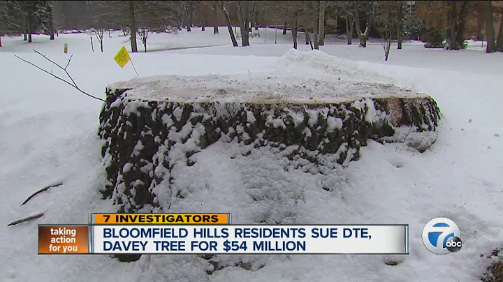 Bloomfield Hills residents sue DTE, Davey Tree for...