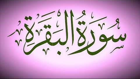 سورة البقرة _ برواية قالون بصلة ميم الجمع _ القارئ مفتاح السلطاني