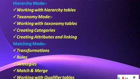 sap  mdmmaster data management  vision  online  training