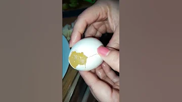 ¿Son reales los huevos congelados?
