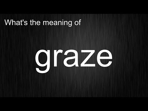 What's the meaning