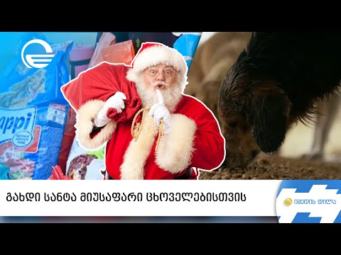 გახდი სანტა მიუსაფარი ცხოველებისთვის