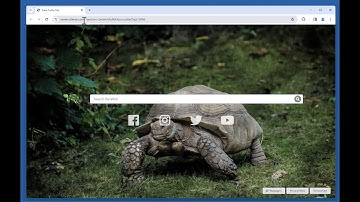 Save Turtle Tab browser hijacker - how to remove?