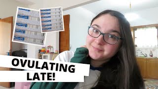 OPK Line Progression Cycle 19 || Late Ovulation after late period || TTC Baby #3