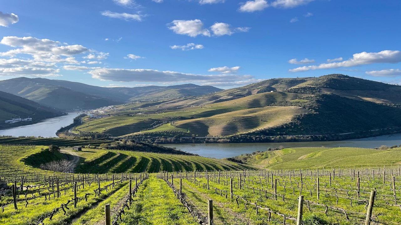Aerial View of Douro Valley | Portuguese Wine Country 4K