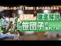 【新潟】秘密のケンミンショーで紹介された笹団子を県民が徹底解説！どんな味？オススメのお店は？旅行のお土産に！