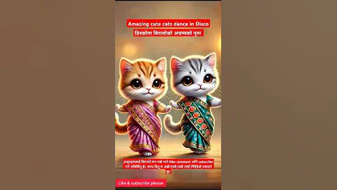 Video 11783611: cat dance compilation, cat funny dance, funny pets, cute cat, best cat