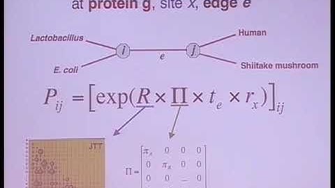 Dr. Andrew Roger | Markov models of protein evolution: Lets get real!