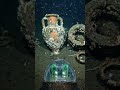 Transparent Fish POV: Deep Sea Secrets Revealed 🐟 #microexploration #fishing #tinyworld #scubadiving