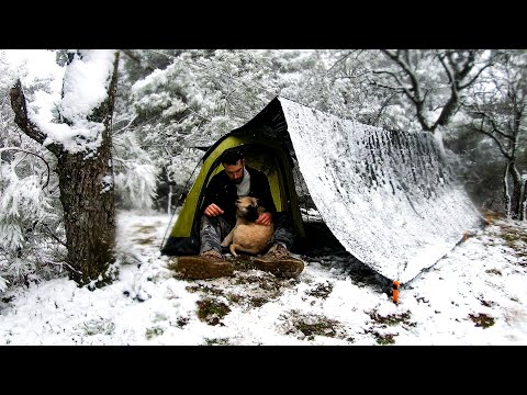 Video: Títo ľudia vytvorili 