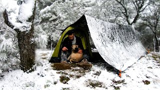 Caught in Heavy Snow With My Dog  Winter Camping in Snowfall • Bad Weather Conditions