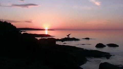 ماتيسر من سورة الأحزاب بصوت القارئ عبدالرحمن المعلا - تلاوة هادئة