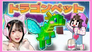 『メルヘンなドラゴン』をペットにできるマイクラが最高すぎる…🪽💫【 マインクラフト / Minecraft】【たまちゃん】