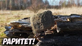 Мечта каждого камрада!  Коп монет 2019.