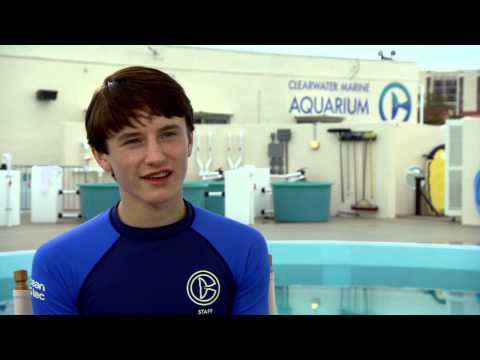 Video: Dolphin Tale 2: s Nathan Gamble
