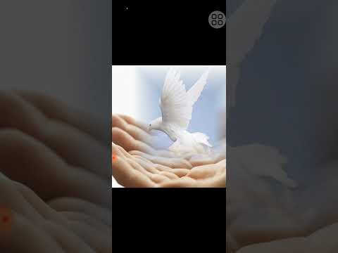 اعرف انت مصاب بمرض روحاني ولا لا مع النور الرباني