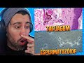 Tatuagem e espermatozoide no microscópio, OLHA ISSSOOO