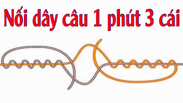 Cách Nối Dây Câu Bị Đứt /Fishing Knots For Conneting Fishing Lines
