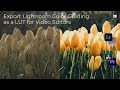 How to Export Lightroom Color Grading as a LUT for Video Editors
