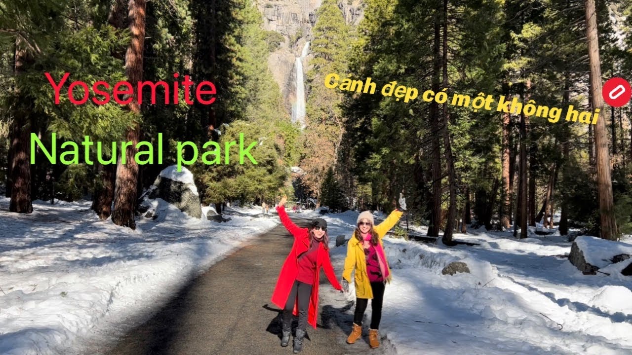 Ngắm Cảnh đẹp công viên Quốc Gia Yosemite P2#congáibàtô