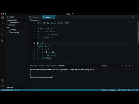 Comments and Doc Strings | Python Beginner to Advanced | Explained in Urdu/Hindi