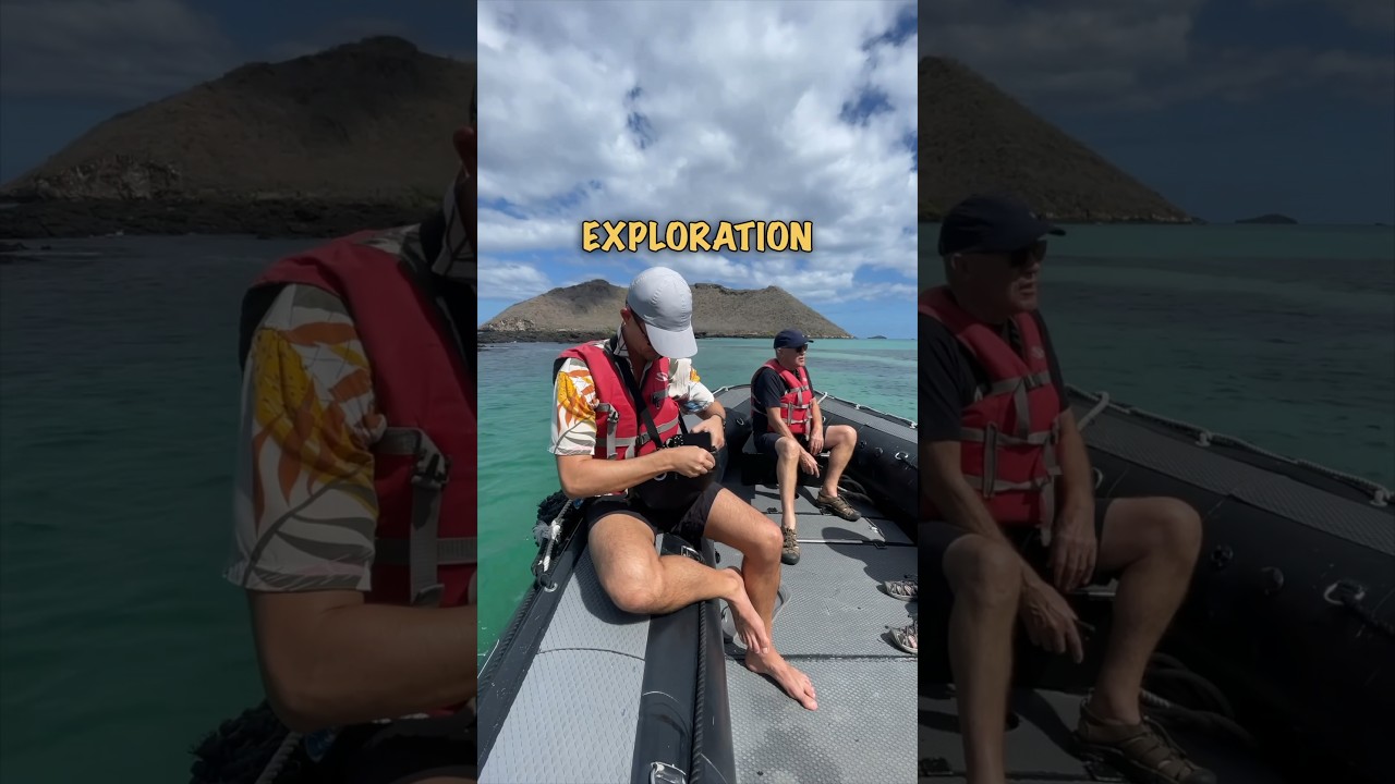 Day 2 of our Galapagos Islands cruise was pure magic 🤩🦭🛳️ #travelshorts #cruiseship #galapagos