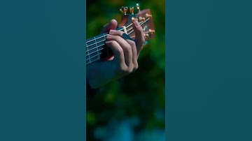 Tere naam|Nature Whatsapp Status |Relax Music Status |Hindi Song Whatsapp Status