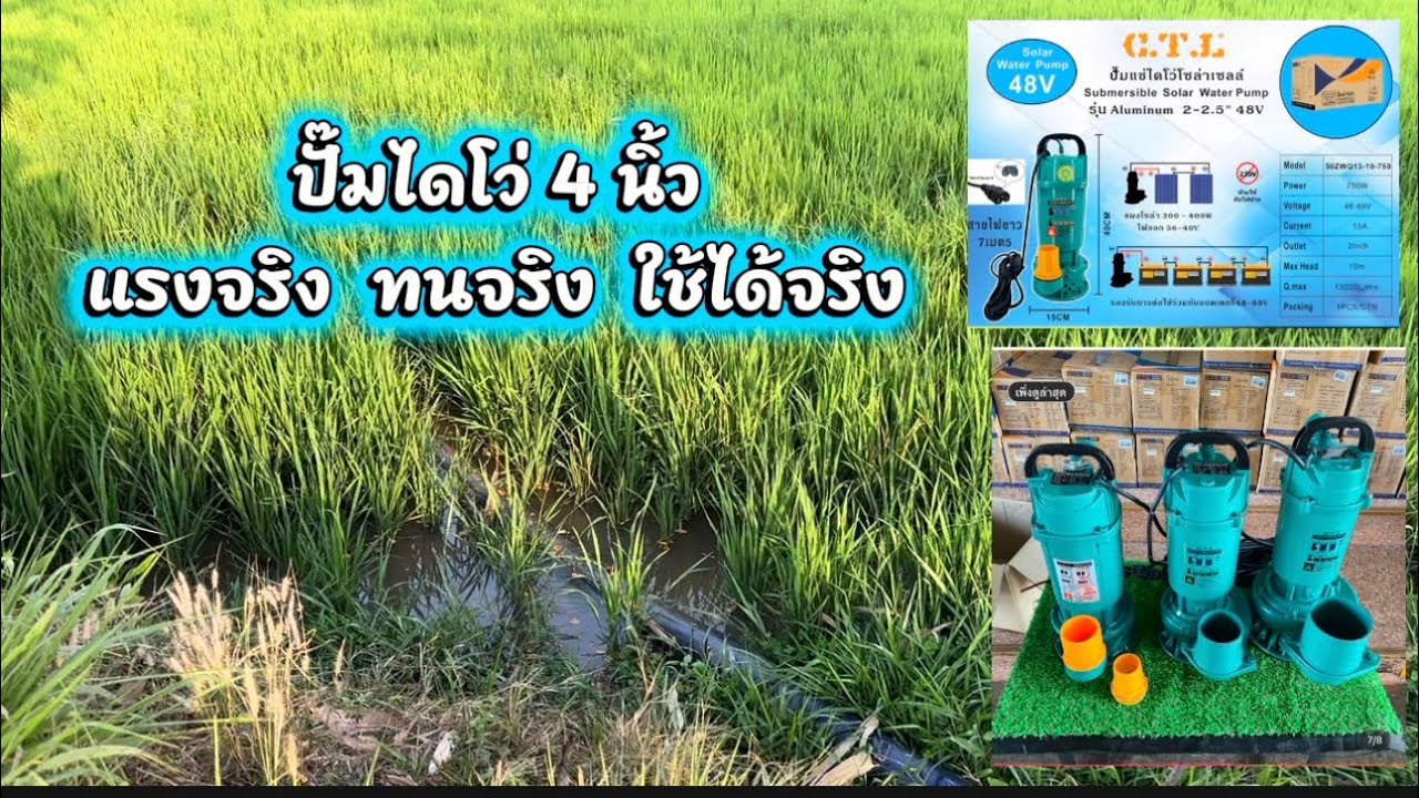ปั๊มไดโว่โซลาร์เซลล์ ขนาด 4 นิ้ว สั่งซื้อลิงค์ TikTok ด้านล่างครับ https://vt.tiktok.com/ZSmKyJPdU/