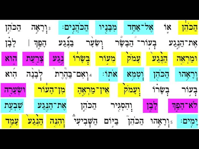 TazriaB 4