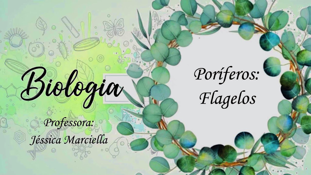 8.2.3 Poríferos: Cílios e Flagelos