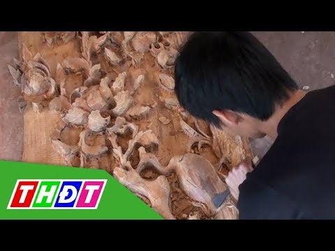 Video Người trẻ và giấc mơ điêu khắc gỗ | THDT - youtube