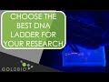 How to Choose the Best Goldbio DNA Ladder for Your Research