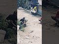 BERSIH BERSIH PENGHILANG SAKIT KEPALA #kebersihanlingkungan #bersihbersih #bersihituindah