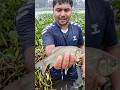 I am catching fish among the water hyacinths in the rainwater. #waterhyacinth #strangefish