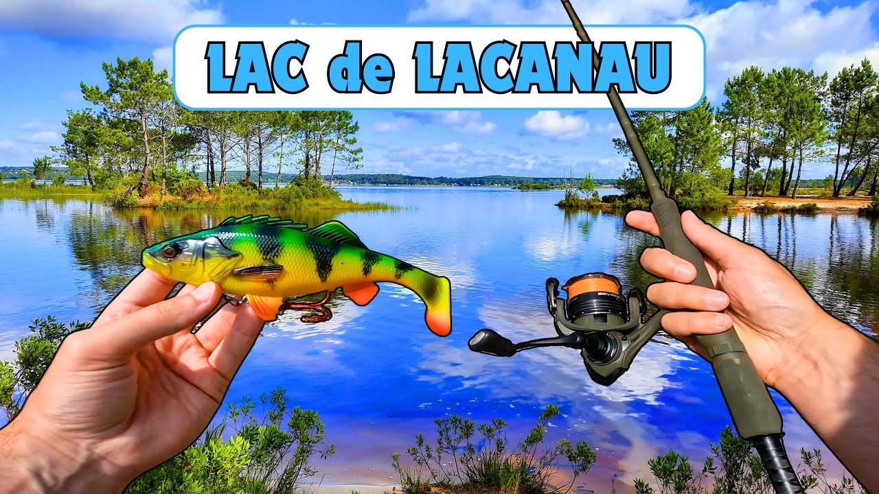 Pêche du BROCHET Lac de Lacanau (Gironde) YouTube