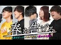 春を告げる歌ってみた【スカイピース×夜のひと笑い×コバソロ】:w32:h24