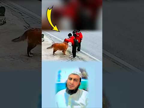 مشهد يذكرنا أن الرحمة لا تقتصر على انسان وأن القسوة هي ما أبعدتنا عن فطرتنا السليمة 