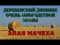 Деревенский дневник очень многодетной мамы. Злая мачеха.