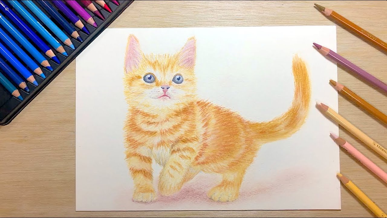 How To Draw A Cat With Colored Pencils Time Lapse Youtube