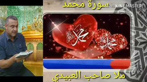 سورة محمد =ص= كاملة =هديتى الى ارواح امواتكم اخوانى واخواتى الاطهار =ملا صاحب العبيدى