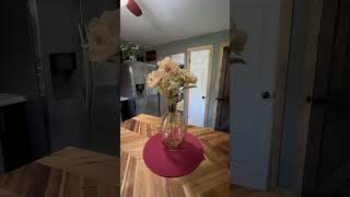 1454 Cumberland Head Rd, Plattsburgh, NY 12901