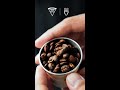 V60 Coffee Brewing #shorts