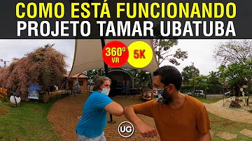 O que é preciso para trabalhar no Projeto Tamar?
