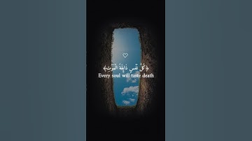عبد الرحمن مسعد (كل نفس ذآئقة الموت)سورة العنكبوت راحة نفسية والطمأنينة #المصحف #راحة_نفسية #لايك