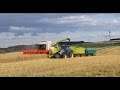 2x Claas Lexion 650 bei der Rapsernte