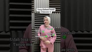 Yang Dialami Bumil Trimester 2