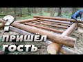 Строительство избы идёт полным ходом | ЛЕСНОЙ ДОМ | ЗЕМЛЯНКА | ИЗБА | FOREST HOUSE | DUGOUT | HUT